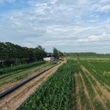 Polyethylene (PE) Composite Pipe for Water Supply - Series 1